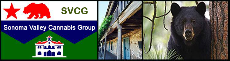 Thank You Letter to the Sonoma City Council