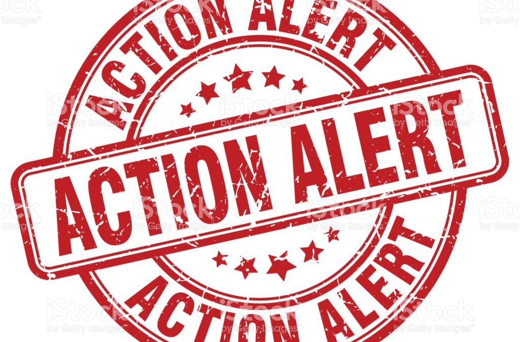 Cannabis Ordinances! MEETING OF THE SONOMA CITY COUNCIL