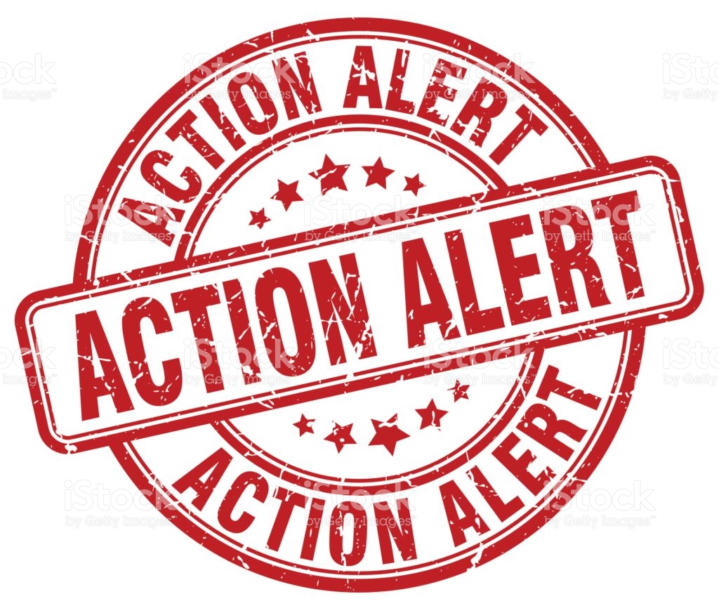 action_alert action alert