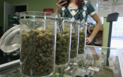 Cannabis Retailer Expands in Sonoma In Alliance With Craft Cannabis Brands From Northern California