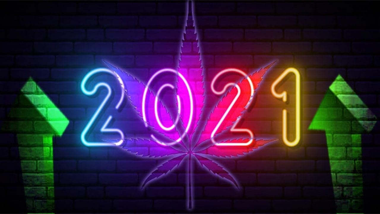 cannabis new year 2021