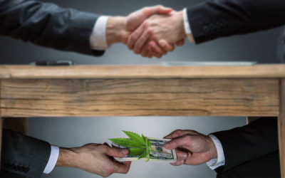 Will the Sonoma City Council “get it”, or not?