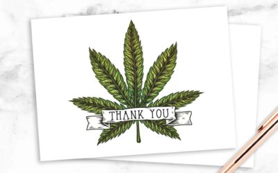 Unfriendly Fire: Our Public Comment to the City Council, February 1, 2021